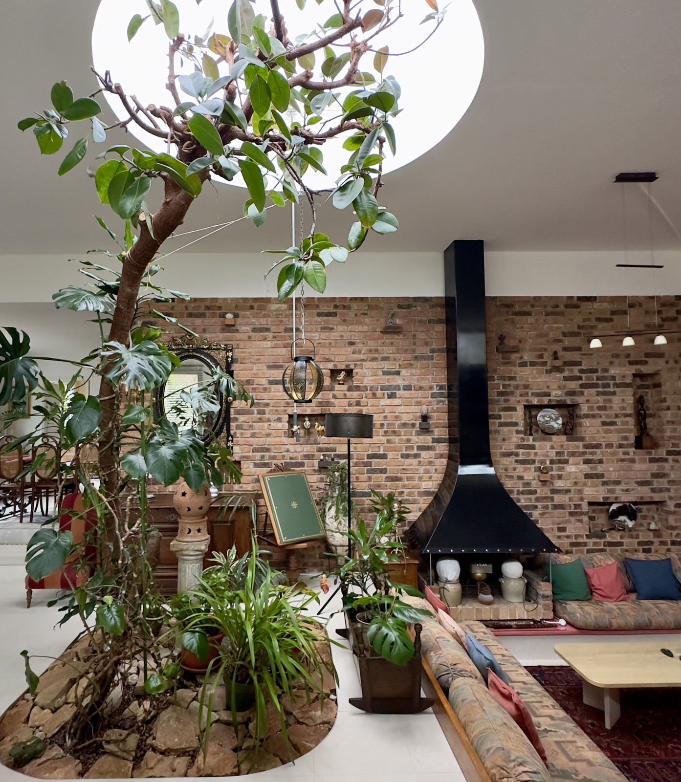 vue arbre et skydome apres